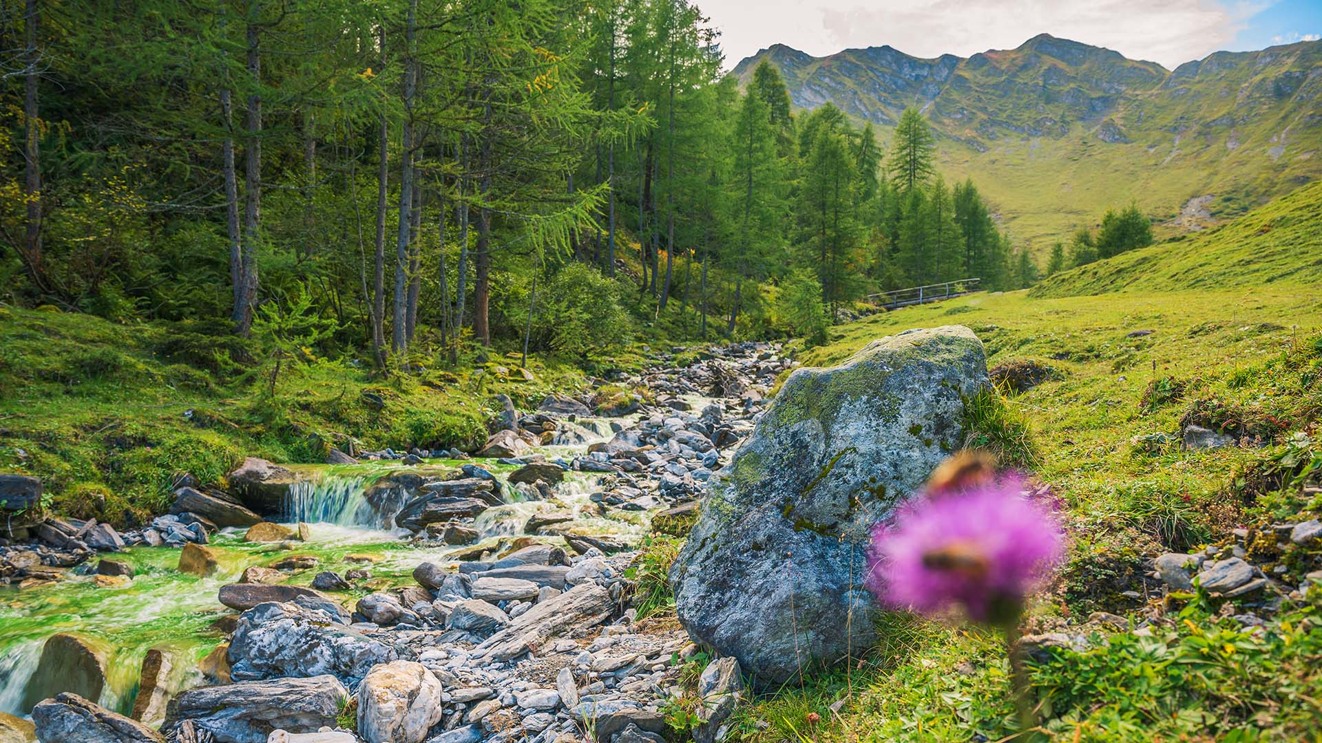 wildromantisches Bergtal mit Fluss